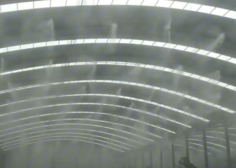 ������ʪ������